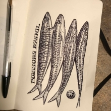 Sketch-threemackerelsofwhichone-antoinerenault-art-saatchiart-1.jpg