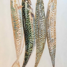 threemackerelsofwhichone-antoinerenault-art-saatchiart-10