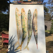 threemackerelsofwhichone-antoinerenault-art-saatchiart-5