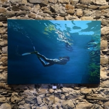 12bd9432842fef4aaed57ff34c6a72c7