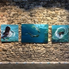 c80e4470507f0f83efd950c0268c80d6