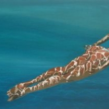 12 - Angelito - Antoine Renault 2012